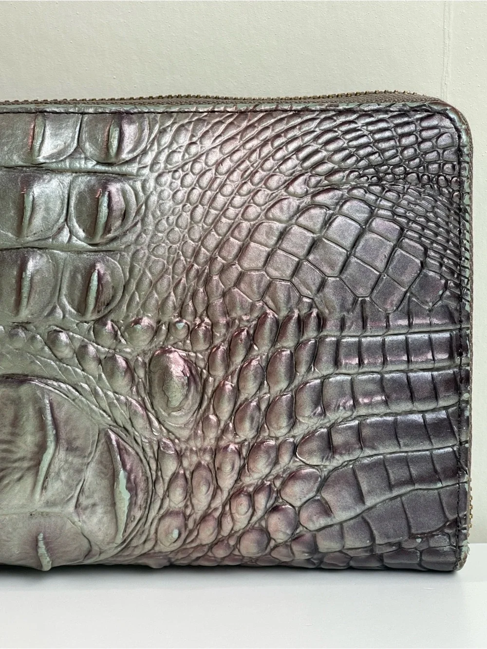 Brahmin The Skyler Clutch